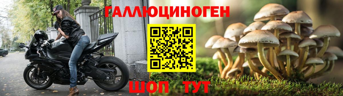 Псилоцибиновые грибы GOLDEN TEACHER  Вход с VPN  Касимов 